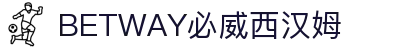 BETWAY·必威(西汉姆联)官方网站-West Ham United